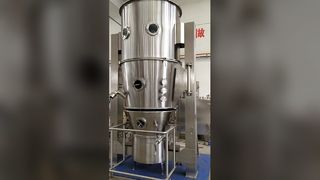 Secador fluidizado vertical FG