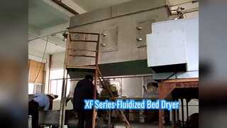 Secador fluidizante XF