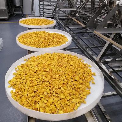 Secadora industrial de la comida de fruta de la legumbre de la microonda del secador comercial del vacío