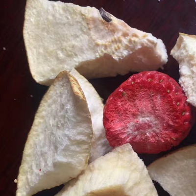 Secador del pepino de mar de la fruta de la máquina de la liofilización del vacío de la medicina herbaria