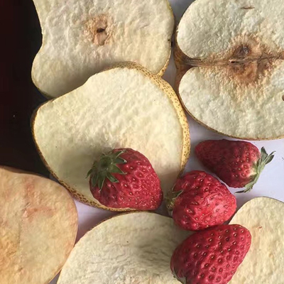 Secador de las verduras y de las frutas del alimento para animales del equipo de la liofilización del vacío del ODM del OEM