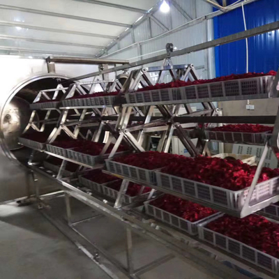 estufa de acero inoxidable de la fruta del deshidratador 304 del vacío de la microonda 38.4-48kg/H