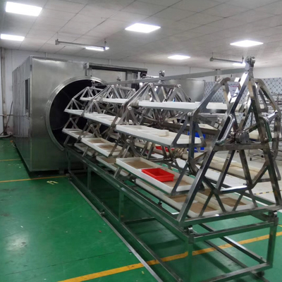 Secador 9.6kg/H del vacío de la microonda de WKS al deshidratador de la transformación de los alimentos 12kg/H