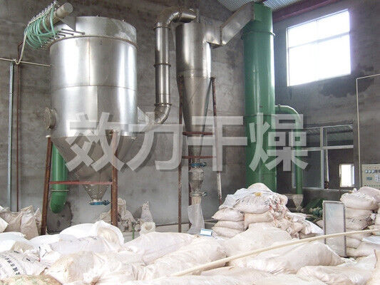 Máquina/equipo rotatorio del secador de destello XSG-8 sucinto impactante