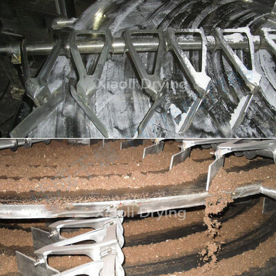 Secador de placas industrial serie PLG para fertilizantes y pesticidas químicos