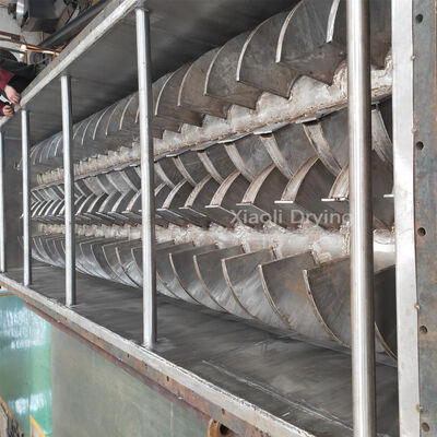 Equipo industrial del secador de paletas huecas para procesamiento de alimentos altamente eficiente