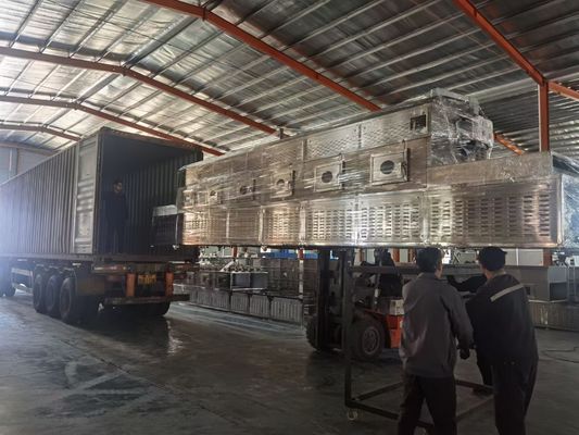 Máquina más seca de acero inoxidable de la microonda de la correa del transportador más seco continuo de la esterilización
