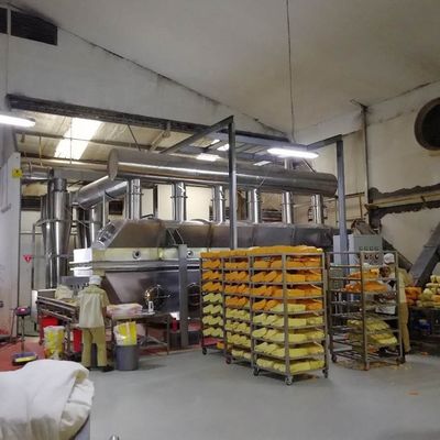 35-50kg/H que vibra el secador del Fbd del fumarato del persulfato del amonio del secador en lecho fluidificado