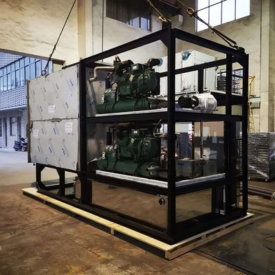 Máquina fría de aderezo del secador del café del brebaje de la máquina de la liofilización del vacío SS304